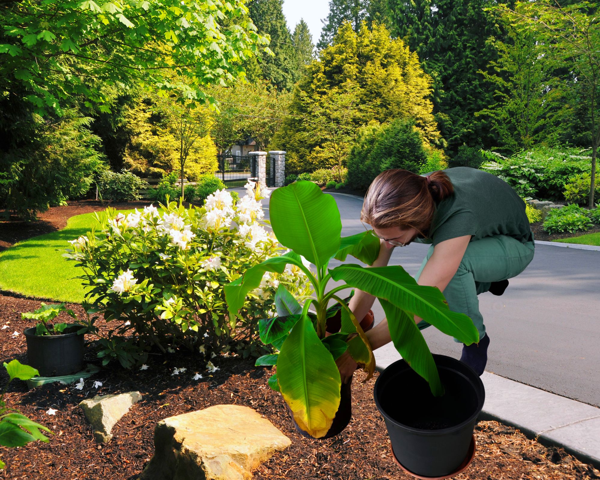 Orçamento jardinagem paisagismo cotação serviço de jardinagem