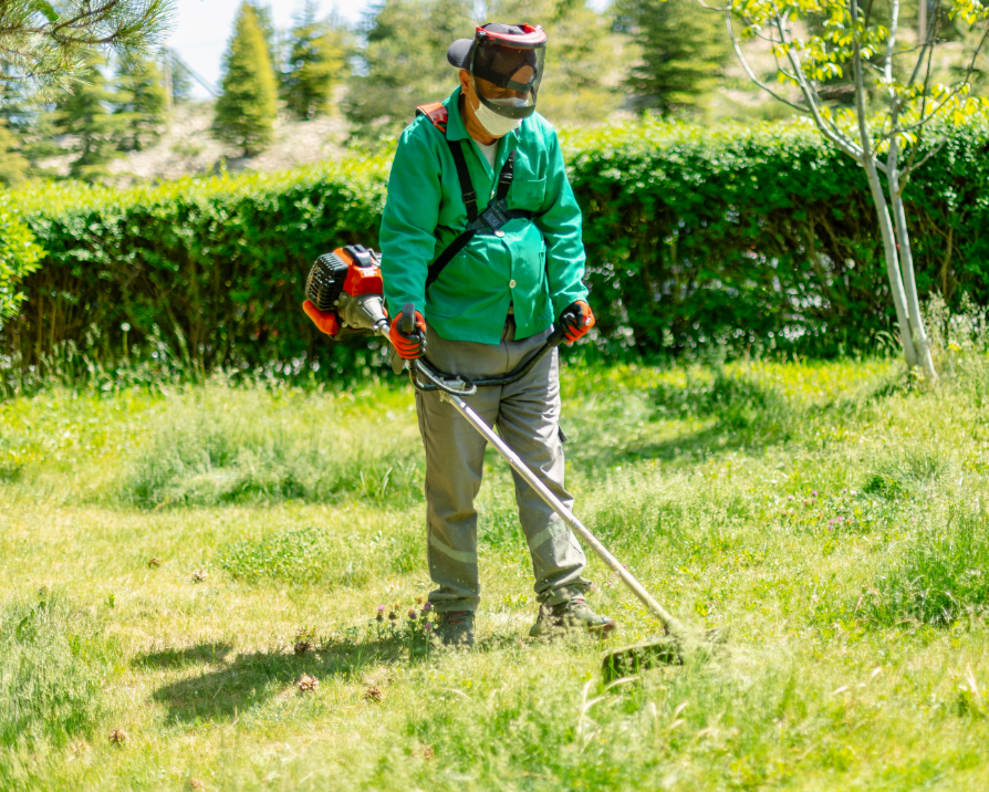 Limpeza de terreno com roçadeira serviços limpeza de terreno